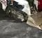 2021 Bobcat T76 Track Loader