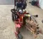 2018 Ditch Witch C14 Walk-Behind Trencher