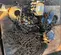 2012 Ingersoll Rand VL2-150-30-28V Hoist