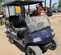 2022 EVOLUTION CLASSIC 4 PRO Utility Vehicle