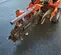 2018 Ditch Witch C14 Walk-Behind Trencher