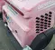 2017 Magnum Pro MLT6SM Towable Light Tower
