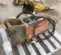 2019 Tamco Tools TNB-6M Attachment
