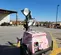 2017 Magnum Pro MLT6SM Towable Light Tower