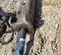 2019 Epiroc EC 150T Attachment