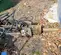 2019 Tamco Tools TNB-5M T6 Attachment