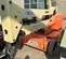 2014 JLG E450AJ Articulating Boom Lift