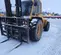 2017 SELLICK S80-4 Forklift