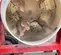 2022 Multiquip MC94PH8 Mixer