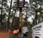 2017 JLG 1255 Forklift