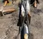 2019 Epiroc EC 135T Attachment
