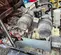 2018 Doosan C185WDZ-T4F Air Compressor