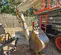2018 Takeuchi TB290C Mini Excavator