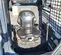 2017 Bobcat T550 Track Loader