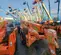 2013 XTREME XR1255 Forklift