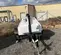 2021 Generac MLG15 Diesel Generator