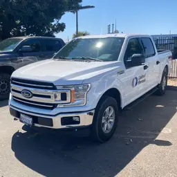 2019 Ford F150CREWXLTG4WD Pickup Truck