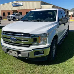 2019 Ford F150CREWXLTG4WD Truck