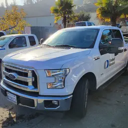 2017 Ford F150CREWXLTG2WD Pickup Truck
