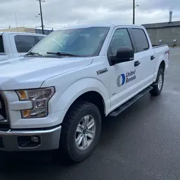2017 Ford F150CREWXLTG4WD Truck
