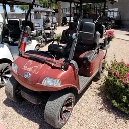 2021 EVOLUTION CLASSIC 4 PRO Utility Vehicle